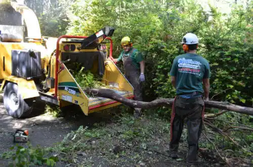 tree services Tipton